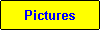 Pictures